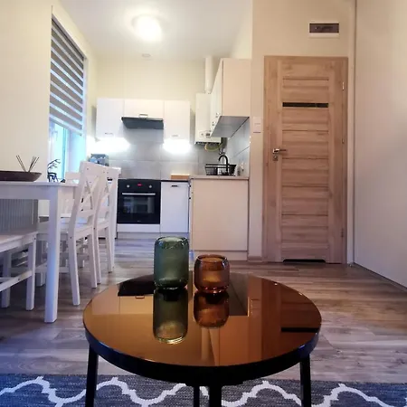 Apartament Las We Mgle Krynica-Zdrój